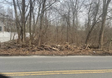 Lot 0 Granite St., Worcester, Massachusetts 01607, ,Land,For Sale,Granite St.,73358791