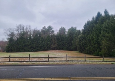 75 Lee St, East Longmeadow, Massachusetts 01028, ,Land,For Sale,Lee St,73359865