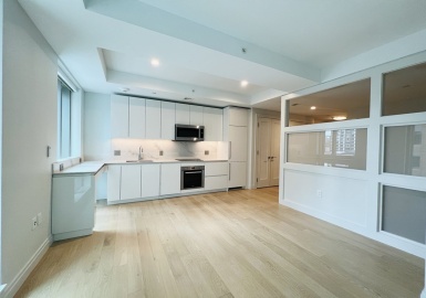 133 Seaport Blvd, Boston, Massachusetts 02210, 2 Rooms Rooms,1 BathroomBathrooms,Residential Lease,For Rent,Seaport Blvd,73360790