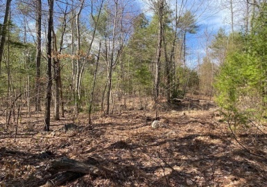 12-L New Athol Rd, Petersham, Massachusetts 01366, ,Land,For Sale,New Athol Rd,73360986