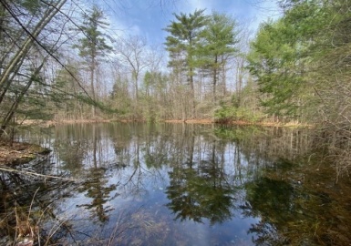 7-L New Athol Rd, Petersham, Massachusetts 01366, ,Land,For Sale,New Athol Rd,73360982