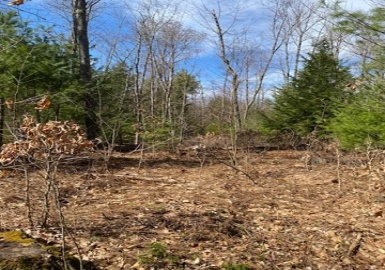 11-L New Athol Rd, Petersham, Massachusetts 01366, ,Land,For Sale,New Athol Rd,73360985