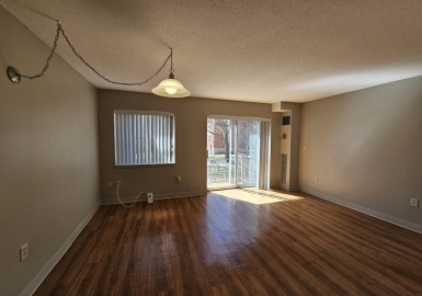 88 Westwind, Boston, Massachusetts 02125, 2 Bedrooms Bedrooms, 6 Rooms Rooms,1 BathroomBathrooms,Residential Lease,For Rent,Westwind,73361517