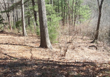 179 Washington St, Sherborn, Massachusetts 01770, ,Land,For Sale,Washington St,73361528
