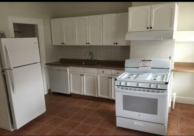 49 Copeland Street, Boston, Massachusetts 02119, 4 Bedrooms Bedrooms, 6 Rooms Rooms,1 BathroomBathrooms,Residential Lease,For Rent,Copeland Street,73362043