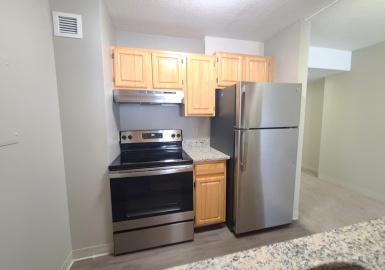 40 Westwind Road, Boston, Massachusetts 02125, 1 Bedroom Bedrooms, 4 Rooms Rooms,1 BathroomBathrooms,Residential Lease,For Rent,Westwind Road,73362447