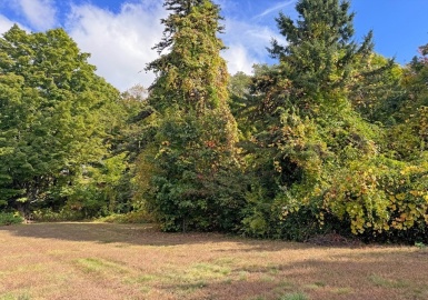 171 Cleveland Street, Greenfield, Massachusetts 01301, ,Land,For Sale,Cleveland Street,73362279