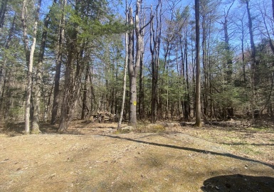 0 Schaefer Way, Charlemont, Massachusetts 01339, ,Land,For Sale,Schaefer Way,73364835