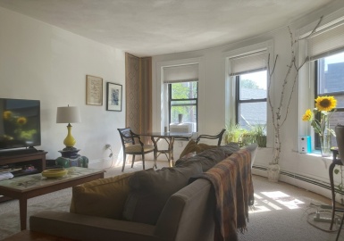 19 Kenilworth, Boston, Massachusetts 02119, 1 Bedroom Bedrooms, 4 Rooms Rooms,1 BathroomBathrooms,Residential Lease,For Rent,Kenilworth,73366542