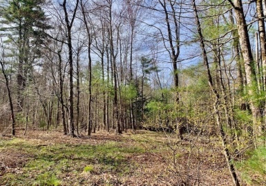 86 W Elm, Lunenburg Rd, Blood Rd, Townsend, Massachusetts 01469, ,Land,For Sale,W Elm, Lunenburg Rd, Blood Rd,73366338