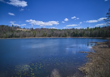 19 and 21 Wheatley Drive, Stockbridge, Massachusetts 01262, ,Land,For Sale,Wheatley Drive,73366568