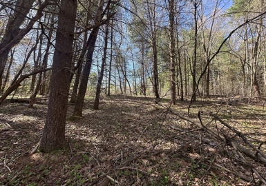 151 Jewett Street, Georgetown, Massachusetts 01833, ,Land,For Sale,Jewett Street,73367256