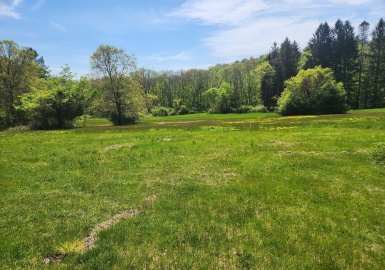 13 Mill Street, Sherborn, Massachusetts 01770, ,Land,For Sale,Mill Street,73368025