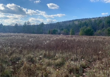 0 E Alford Rd, West Stockbridge, Massachusetts 01266, ,Land,For Sale,E Alford Rd,73368820