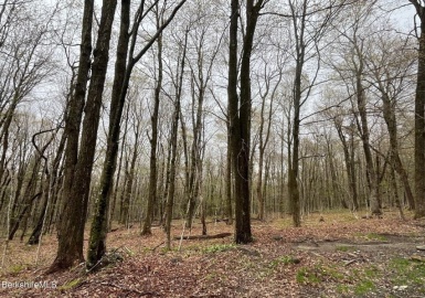 0 Manley Phelps Road, Monroe, Massachusetts 01350, ,Land,For Sale,Manley Phelps Road,73369553