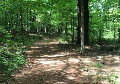 130 Morse St., Sharon, Massachusetts 02067, ,Land,For Sale,Morse St.,73371654