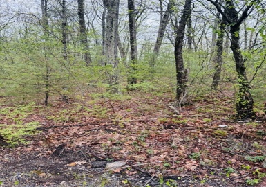 48 Mill Rd Lot 2e, North Brookfield, Massachusetts 01535, ,Land,For Sale,Mill Rd Lot 2e,73371791