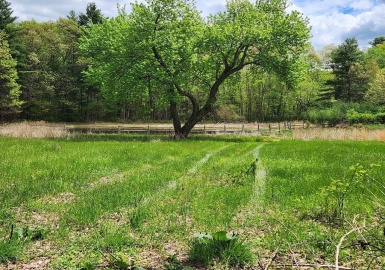 65 Farm Road Lot 6, Sherborn, Massachusetts 01770, ,Land,For Sale,Farm Road Lot 6,73371853