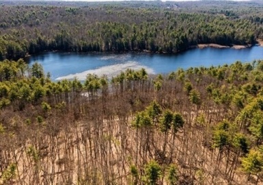 0 Carter Pond Rd, Petersham, Massachusetts 01366, ,Land,For Sale,Carter Pond Rd,73371988