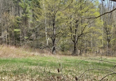 0 West Branch Road, Heath, Massachusetts 01346, ,Land,For Sale,West Branch Road,73372359