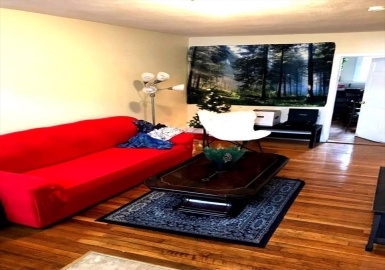 110 Lanark Rd, Boston, Massachusetts 02135, 4 Bedrooms Bedrooms, 7 Rooms Rooms,1 BathroomBathrooms,Residential Lease,For Rent,Lanark Rd,73372608