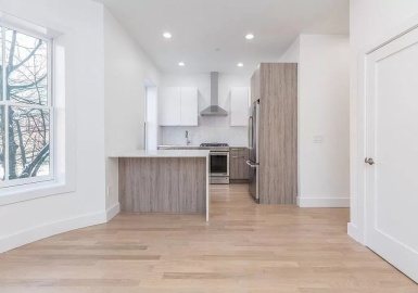 55 E Springfield St, Boston, Massachusetts 02118, 2 Bedrooms Bedrooms, 4 Rooms Rooms,1 BathroomBathrooms,Residential Lease,For Rent,E Springfield St,73373163