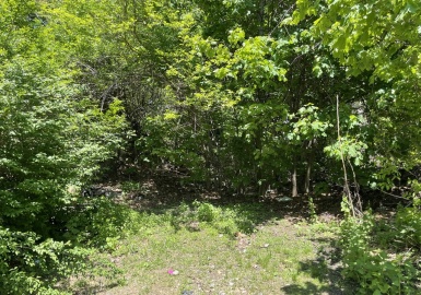 13 Waite St, Worcester, Massachusetts 01604, ,Land,For Sale,Waite St,73373243