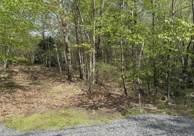 Lot 0 Old Westminster Rd, Hubbardston, Massachusetts 01452, ,Land,For Sale,Old Westminster Rd,73373882