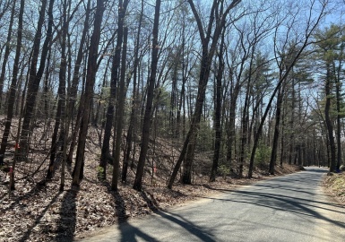 Lot 3, January Hills Road, Shutesbury, Massachusetts 01072, ,Land,For Sale,January Hills Road,73374121