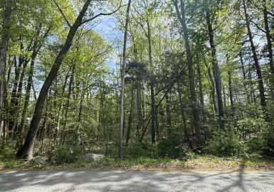 0 Mt Blue, Norwell, Massachusetts 02061, ,Land,For Sale,Mt Blue,73374335