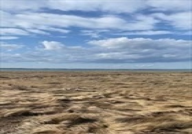 0 Saquish Beach Blvd Lot 391, Plymouth, Massachusetts 02360, ,Land,For Sale,Saquish Beach Blvd Lot 391,73374940