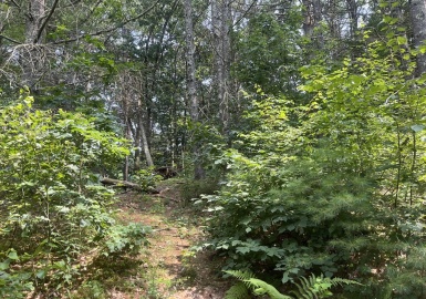 53 Stagecoach Rd., West Brookfield, Massachusetts 01585, ,Land,For Sale,Stagecoach Rd.,73377260