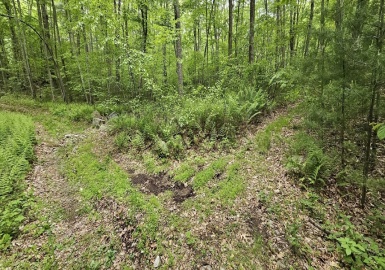 503 Elmwood Avenue, Uxbridge, Massachusetts 01569, ,Land,For Sale,Elmwood Avenue,73377902