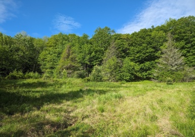 141 Ireland St, Chesterfield, Massachusetts 01096, ,Land,For Sale,Ireland St,73378205