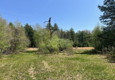 0 Old Dean St (Parcel 33), Norton, Massachusetts 02766, ,Land,For Sale,Old Dean St (Parcel 33),73378608