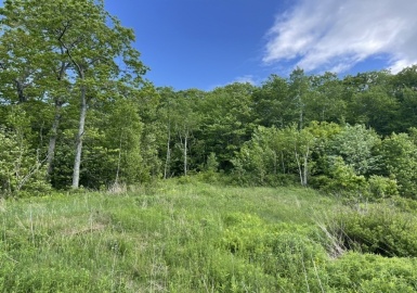 2438 Mohawk Trail, North Adams, Massachusetts 01247, ,Land,For Sale,Mohawk Trail,73384152