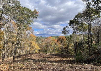 1450 Lower Rd, Hardwick, Massachusetts 01031, ,Land,For Sale,Lower Rd,73386166