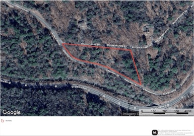 8 William Holmes Road, Becket, Massachusetts 01223, ,Land,For Sale,William Holmes Road,73386172