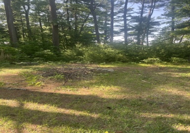 0 Morse St, Halifax, Massachusetts 02338, ,Land,For Sale,Morse St,73387111