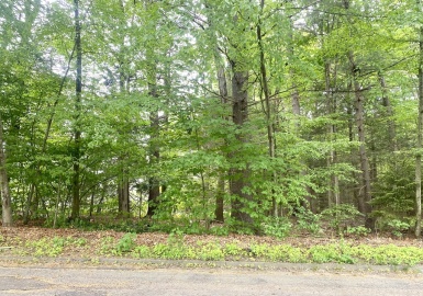 Lot 0 Surrey Lane, Westfield, Massachusetts 01085, ,Land,For Sale,Surrey Lane,73387161