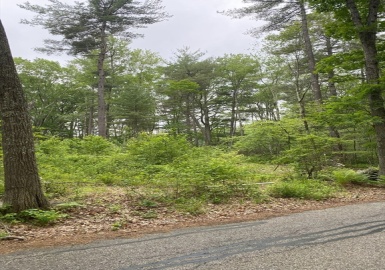 0 I Capen, Spencer, Massachusetts 01562, ,Land,For Sale,I Capen,73387965