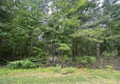 52 Round Farm Rd, Rehoboth, Massachusetts 02769, ,Land,For Sale,Round Farm Rd,73388367
