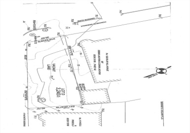 1224 Blue Hill Ave, Boston, Massachusetts 02126, ,Land,For Sale,Blue Hill Ave,73388989