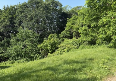 42 Rustic Dr Ext, Worcester, Massachusetts 01609, ,Land,For Sale,Rustic Dr Ext,73389704