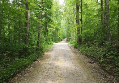0 Patrill Hollow Rd, Hardwick, Massachusetts 01031, ,Land,For Sale,Patrill Hollow Rd,73389714