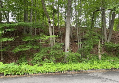 Lot 114 Bark Haul Rd, Longmeadow, Massachusetts 01106, ,Land,For Sale,Bark Haul Rd,73390034