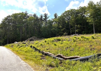 lots W. Shore Drive, Ashburnham, Massachusetts 01468, ,Land,For Sale,W. Shore Drive,73390362