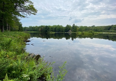 0 King Richard Dr, Becket, Massachusetts 01223, ,Land,For Sale,King Richard Dr,73390489