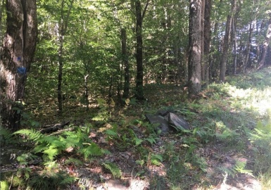 39 Bow St, Plainfield, Massachusetts 01070, ,Land,For Sale,Bow St,73390404