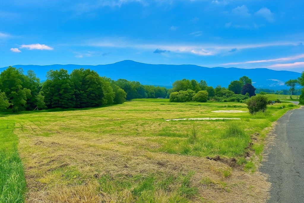 0 East Mountain Rd, Adams, Massachusetts 01220, ,Land,For Sale,East Mountain Rd,73390786